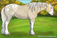 Horse Color:Silver Bay Ice Dun Sabino Splash Varnish 