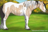 Horse Color:Bay Ice Dun Sabino Splash Tobiano 