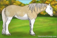 Horse Color:Silver Bay Ice Dun Splash 
