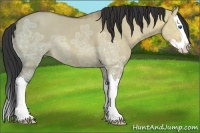 Horse Color:Bay Ice Dun Sabino Splash