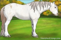 Horse Color:Bay Ice Dun Sabino Splash Appaloosa