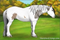 Horse Color:Brown Ice Sabino Splash Tobiano 