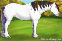 Horse Color:Painted Bay Sabino Splash Appaloosa
