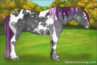 Horse Color:Painted Black Splash Tobiano 