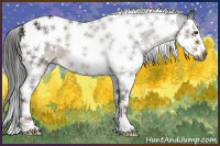 Horse Color:Gray Liver Chestnut Splash Tobiano