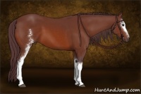 Horse Color:White Spotted Chocolate Brown