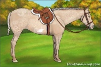 Horse Color:Silver Amber Champagne Ice Frame