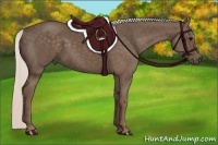 Horse Color:Silver Black 