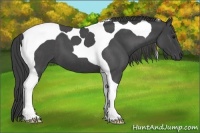 Horse Color:Smoky Blue Roan Tobiano 
