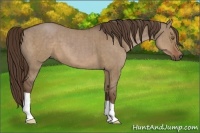 Horse Color:Liver Red Dun Brindle