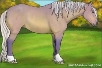 Horse Color:Watercolor Silver Buckskin Rabicano 
