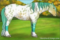 Horse Color:Watercolor White Spotted Bay Roan Dun Appaloosa
