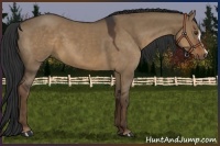 Horse Color:Liver Red Dun