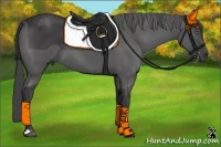 Horse Color:Smoky Black