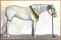 Horse Color:White Spotted Chocolate Palomino Pearl Dun Splash Frame Rabicano