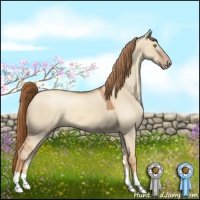 Horse Color:Gold Champagne Dun