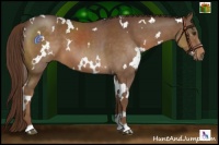 Horse Color:White Spotted Liver Chestnut 