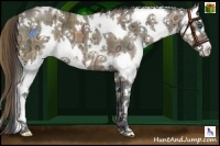 Horse Color:Plaid  White Spotted Bay Ice Splash 