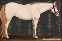 Horse Color:Buckskin Pearl 