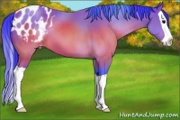 Horse Color:Watercolor Brown Splash Appaloosa 