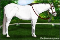 Horse Color:Liver Chestnut Sabino Appaloosa Rabicano