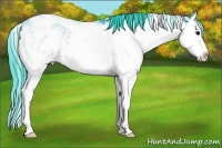 Horse Color:Watercolor Brown Sabino Splash Rabicano