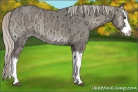 Horse Color:Silver Smoky Blue Onyx Ice Splash 