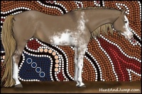 Horse Color:Liver Red Dun Sabino Splash 