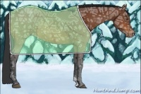 Horse Color:Brown Ice Sabino Varnish 