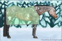 Horse Color:White Spotted Brown Ice Appaloosa 