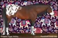 Horse Color:Bay Splash Blanket