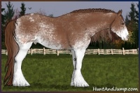 Horse Color:White Spotted Chestnut Varnish 