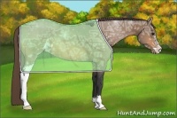 Horse Color:Buckskin Ice Sabino Appaloosa