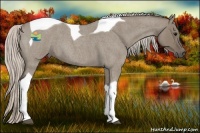 Horse Color:Silver Grullo Roan Tobiano