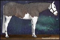 Horse Color:Brown Ice Splash