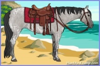 Horse Color:Grullo Ice Roan 