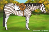 Horse Color:Buckskin Roan Splash 