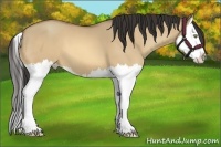 Horse Color:Amber Champagne Dun Splash 