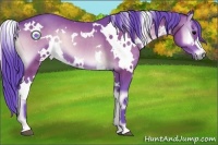 Horse Color:Watercolor White Spotted Brown Onyx