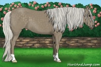 Horse Color:Silver Smoky Black 