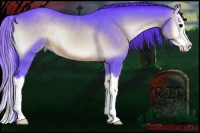 Horse Color:Watercolor Brown Onyx Sabino Splash 
