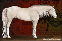 Horse Color:Chocolate Palomino Pearl Splash