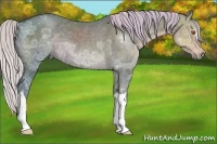 Horse Color:Silver Black Chinchilla Ice