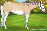 Horse Color:Silver Classic Champagne Dun Splash Rabicano 