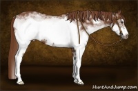 Horse Color:White Spotted Chestnut Frame