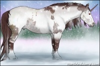 Horse Color:White Spotted Chocolate Silver Black Chinchilla Rabicano  and White Spotted Chocolate Brown Chinchilla Rabicano 