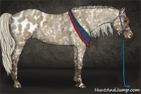 Horse Color:Chocolate Silver Smoky Grullo Roan Appaloosa 