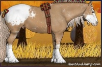 Horse Color:Palomino Sabino Snowcap 