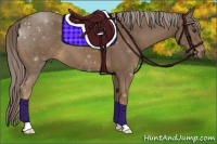 Horse Color:Chocolate Palomino 