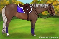 Horse Color:Silver Brown 